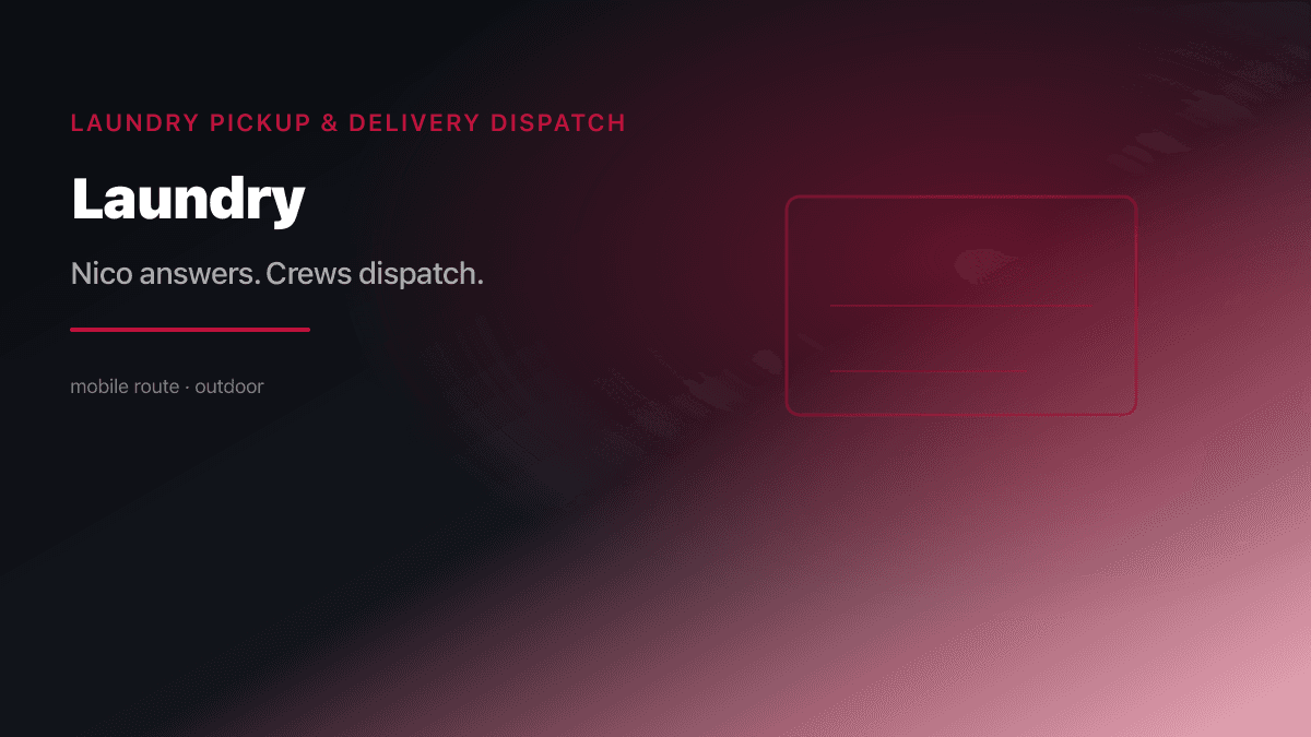 Laundry Dispatch preview